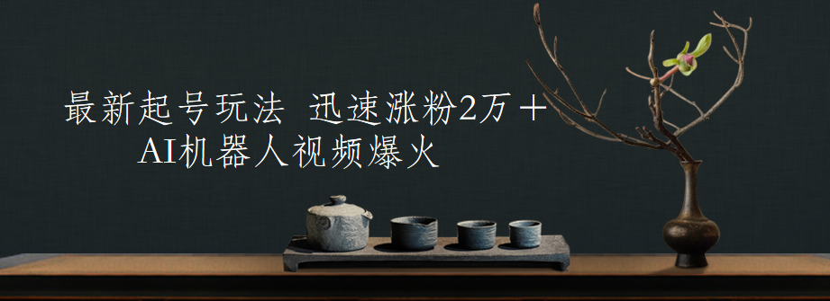 最新起号玩法，AI机器人视频爆火，迅速涨粉2万＋-小白搞钱