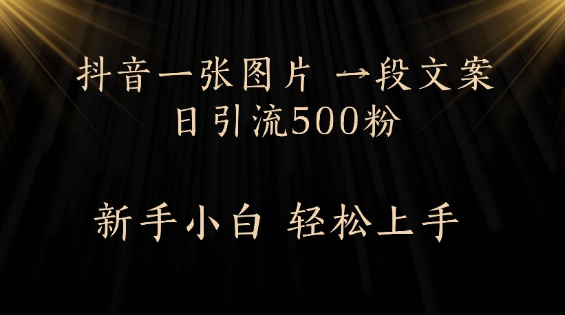 抖音一张图片，一段文案日引流500粉，新手小白 轻松上手-小白搞钱