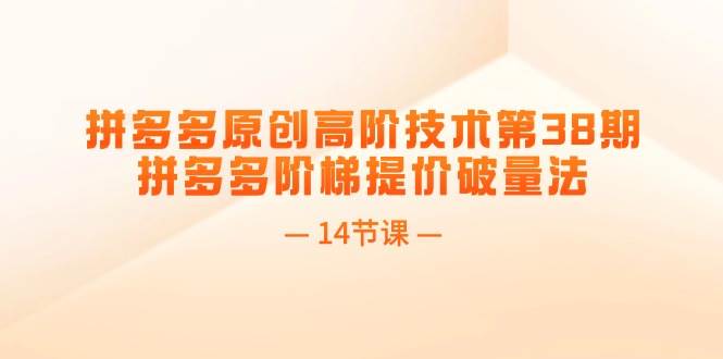 拼多多原创高阶技术第38期，拼多多阶梯提价破量法（14节课）-小白搞钱