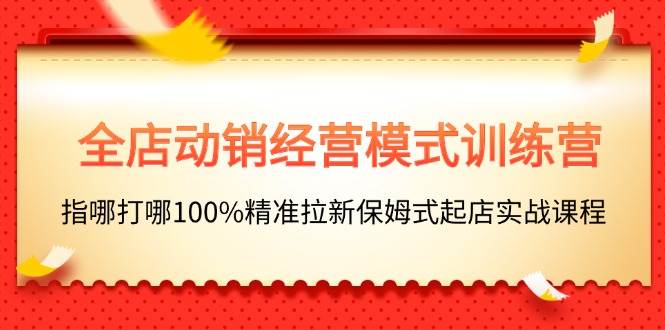 全店动销-经营模式训练营，指哪打哪100%精准拉新保姆式起店实战课程-小白搞钱