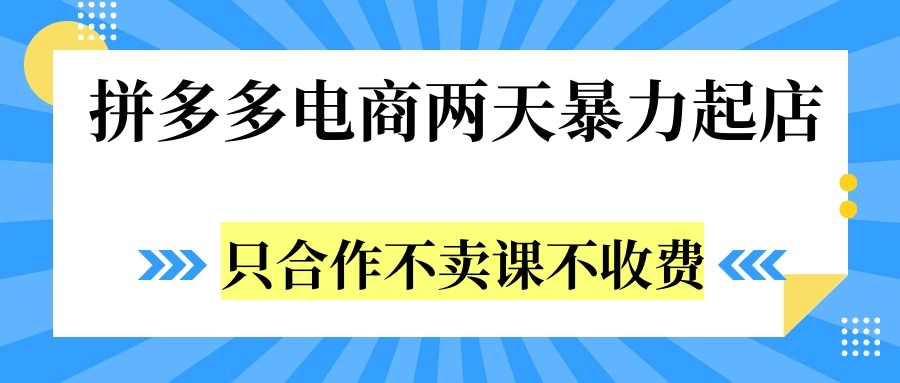 拼多多两天暴力起店，只合作不卖课不收费-小白搞钱