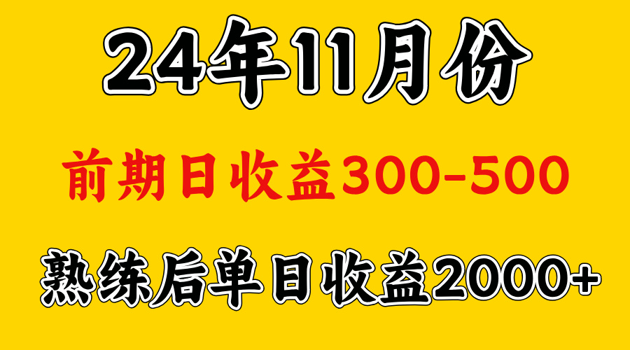 轻资产项目，前期日收益500左右，后期日收益1500-2000左右，多劳多得-小白搞钱