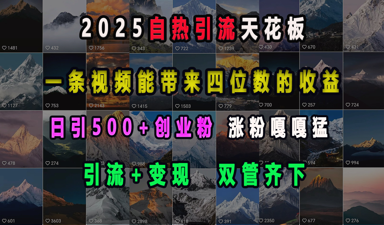2025自热引流天花板，一条视频能带来四位数的收益，引流+变现双管齐下，日引500+创业粉，涨粉嘎嘎猛-小白搞钱