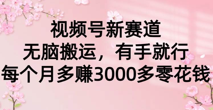 视频号新赛道，无脑搬运，有手就行，每个月多赚3000多零花钱-小白搞钱