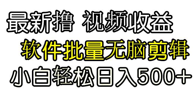 发视频撸收益，软件无脑批量剪辑，第一天发第二天就有钱-小白搞钱