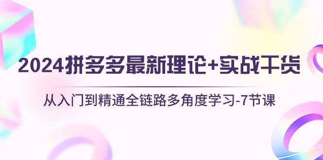 2024拼多多 最新理论+实战干货，从入门到精通全链路多角度学习-7节课-小白搞钱