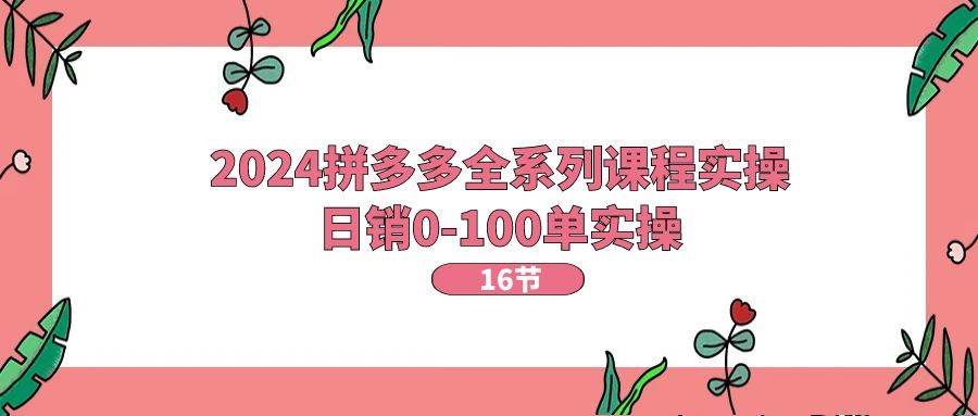2024拼多多全系列课程实操，日销0-100单实操【16节课】-小白搞钱
