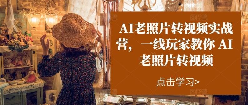 AI老照片转视频实操训练营，一线玩家教你AI老照片转视频-小白搞钱