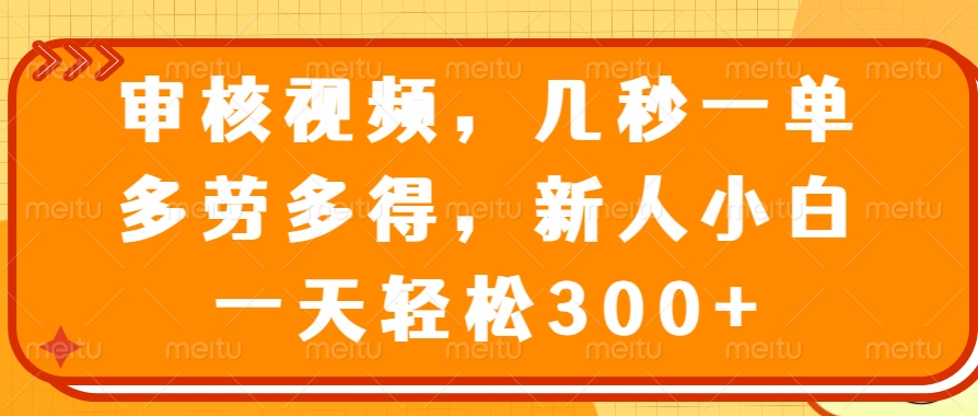 审核视频项目，几秒一单，多劳多得，新人小白一天轻松300+-小白搞钱