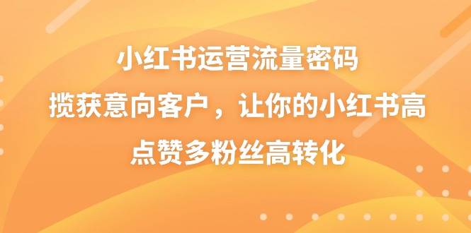 小红书运营流量密码，揽获意向客户，让你的小红书高点赞多粉丝高转化-小白搞钱