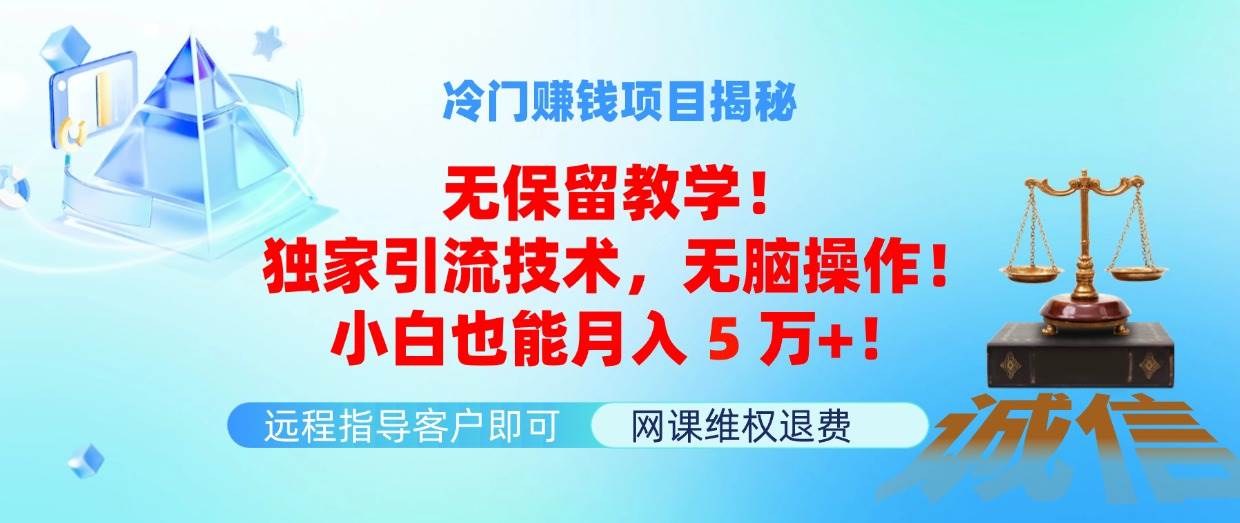 冷门赚钱项目无保留教学！独家引流技术，无脑操作！小白也能月入5万+！-小白搞钱