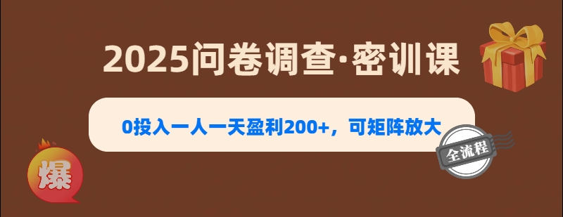 2025《问卷调查》0投入一人一天盈利200+，可矩阵放大-小白搞钱