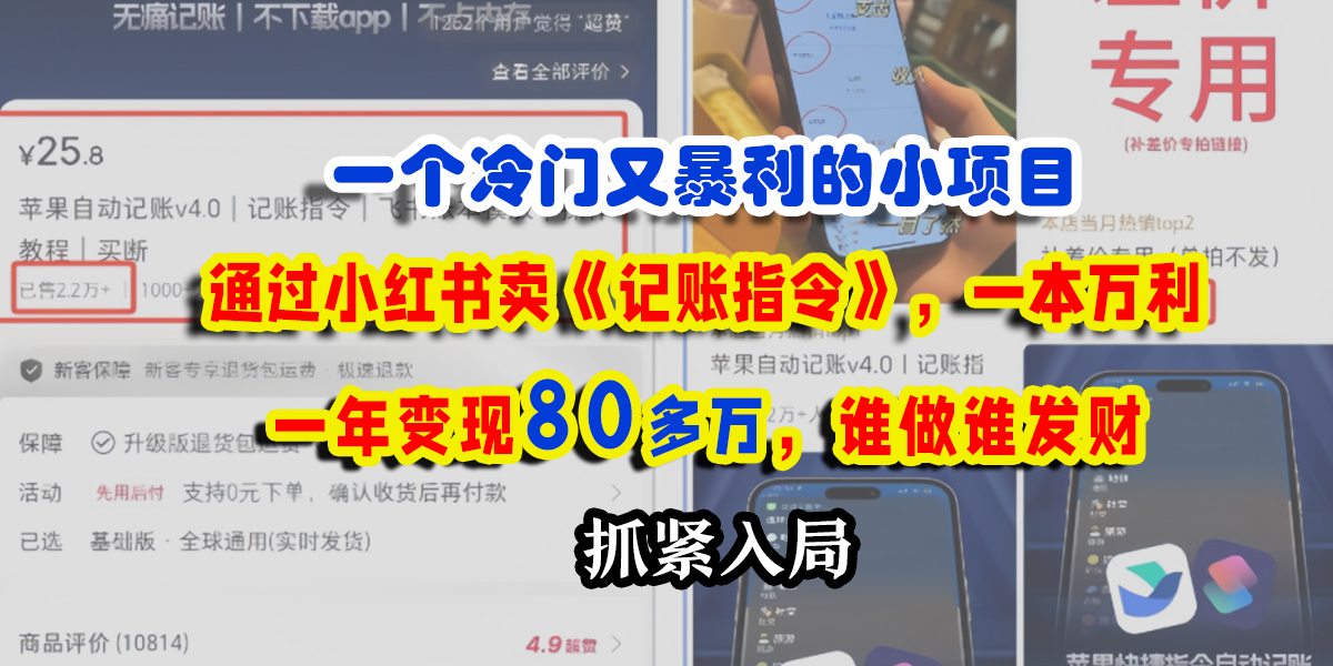 一个冷门又暴利的小项目，通过小红书卖《记账指令》，一本万利，一年变现80多万，谁做谁发财-小白搞钱