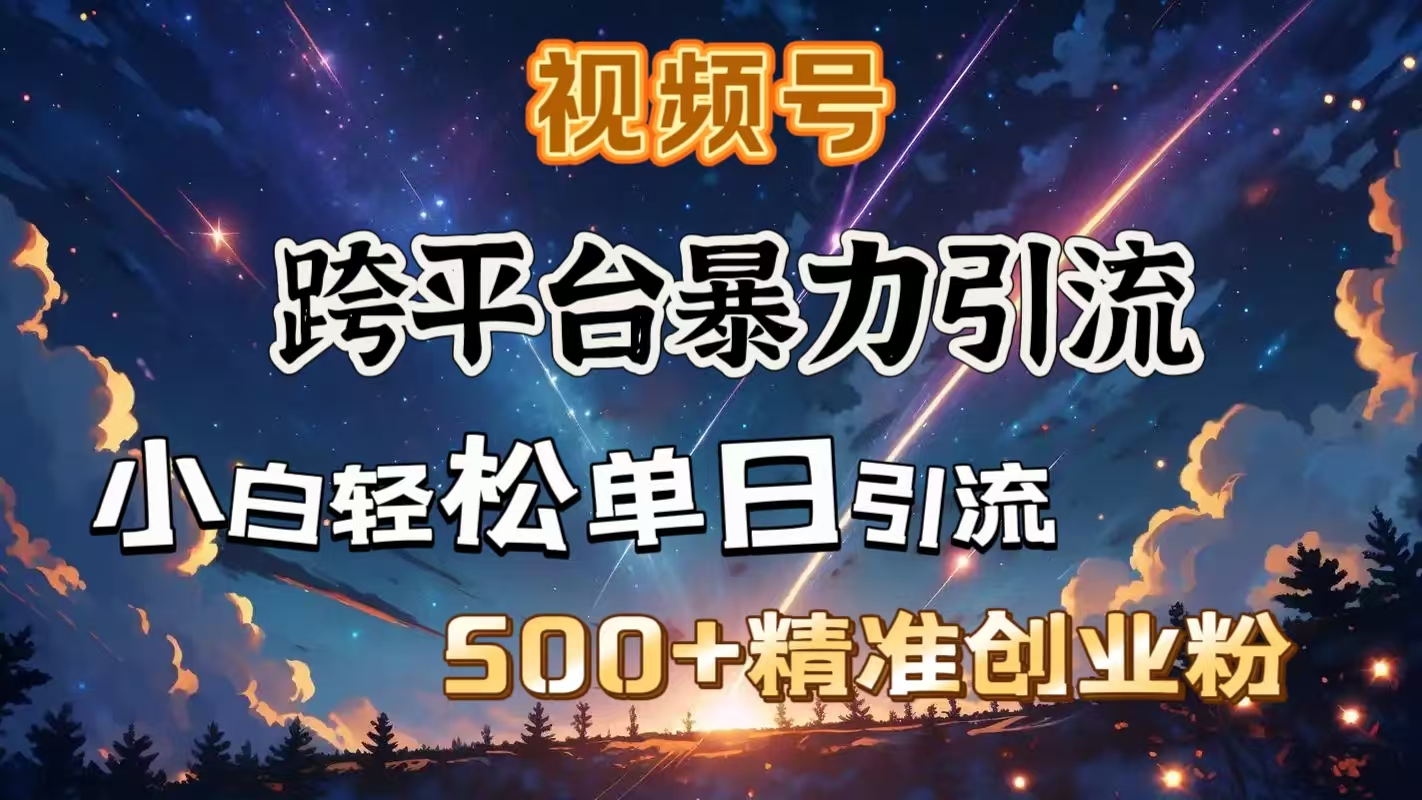 视频号跨平台暴力引流，小白轻松单日引流500＋精准创业粉-小白搞钱