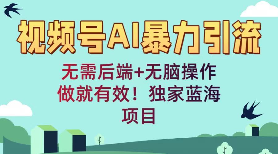视频号AI暴力引流：无需后端+无脑操作，做就有效！独家蓝海项目-小白搞钱