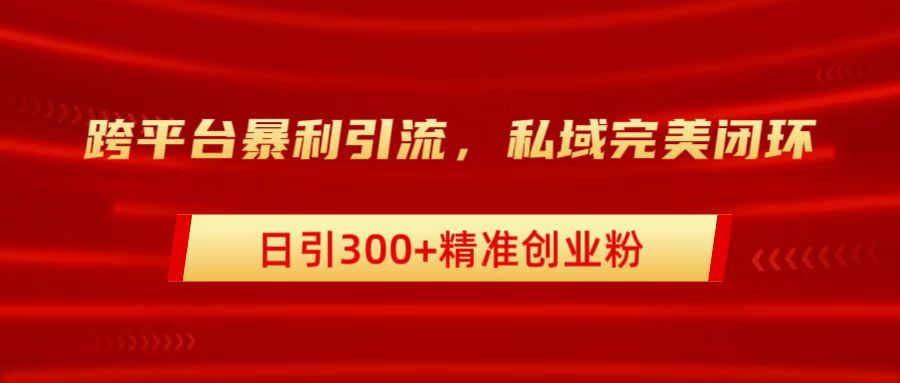 跨平台暴力引流，私域完美闭环，日引300+精准创业粉-小白搞钱