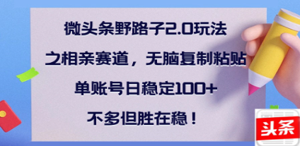 全网首发微头条野路子2.0玩法之相亲赛道，无脑搬砖复制粘贴，单账号日稳定300+保姆级教程-小白搞钱