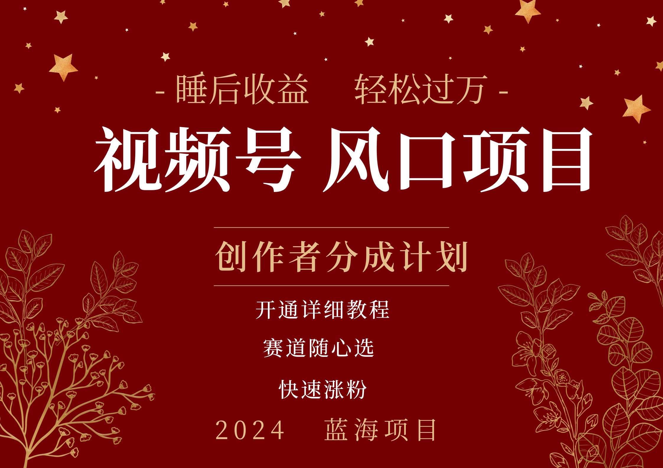 拥有睡眠收益的微信视频号大风口项目，轻松月入过万+，多赛道选择，可矩阵，玩法简单轻松上手-小白搞钱