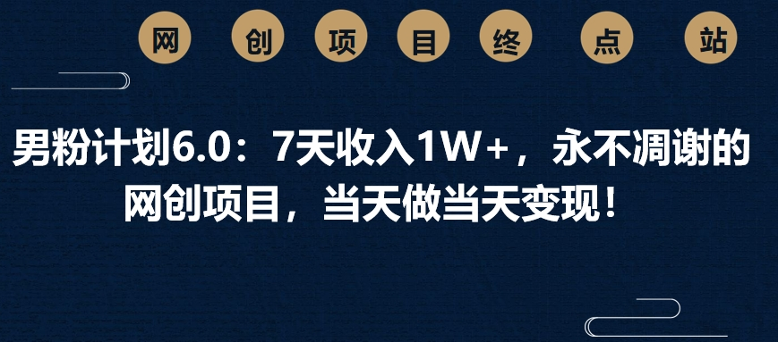 男粉计划6.0：7天收入1W+，永不凋谢的网创项目，当天做当天变现！-小白搞钱