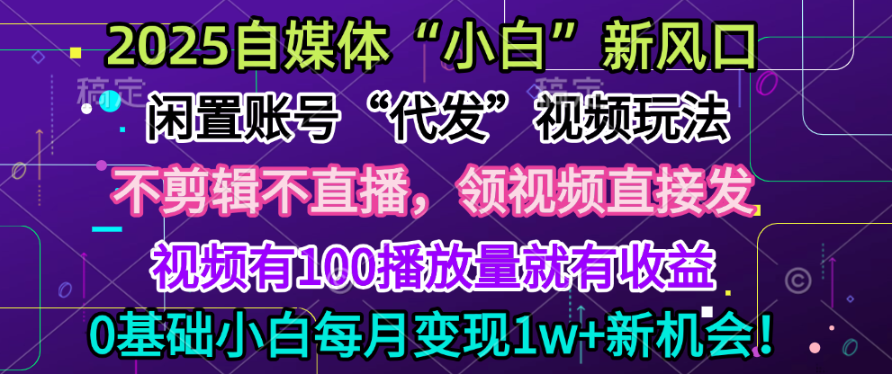 2025每月躺赚5w+新机会，闲置视频账号一键代发玩法，0粉不实名不剪辑，领了视频直接发，0基础小白也能日入300+-小白搞钱