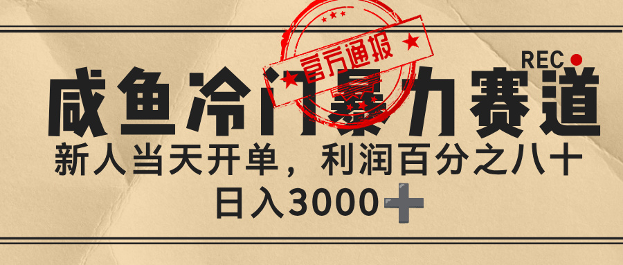 闲鱼，冷门暴力赛道，一单 80%利润，新人轻松日入 3000+-小白搞钱