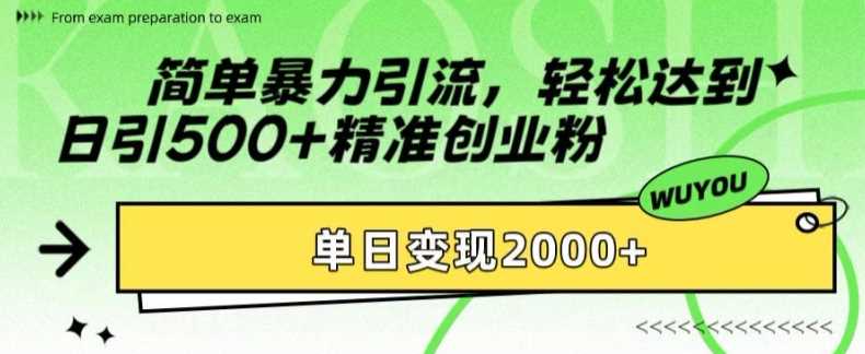 简单暴力引流轻松达到日引500+精准创业粉，单日变现2k【揭秘】-小白搞钱