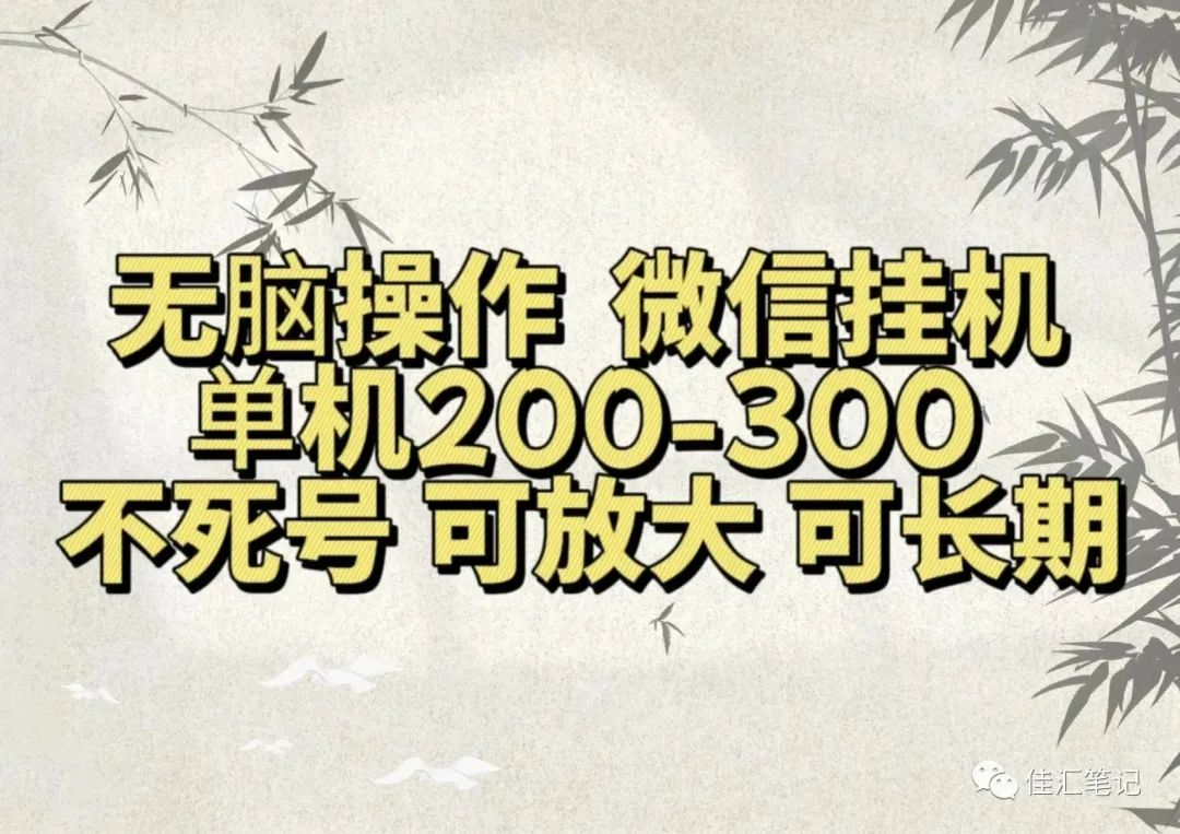 无脑操作微信视频号挂机单机200-300一天，不死号，可放大，工作室实测-小白搞钱