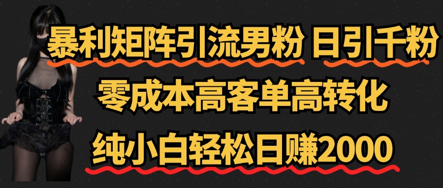暴利矩阵引流男粉（日引千粉），零成本高客单高转化，纯小白轻松日赚2000+-小白搞钱