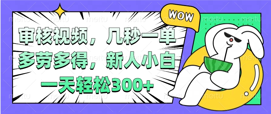 视频审核项目，几秒一单，多劳多得，新人小白一天轻松300+-小白搞钱