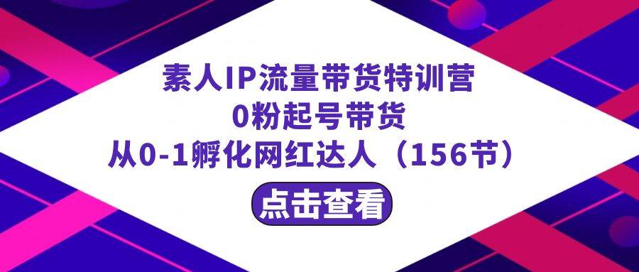 繁星·计划素人IP流量带货特训营：0粉起号带货 从0-1孵化网红达人（156节）-小白搞钱
