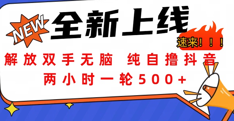 解放双手无脑 纯自撸抖音 两小时一轮500+-小白搞钱