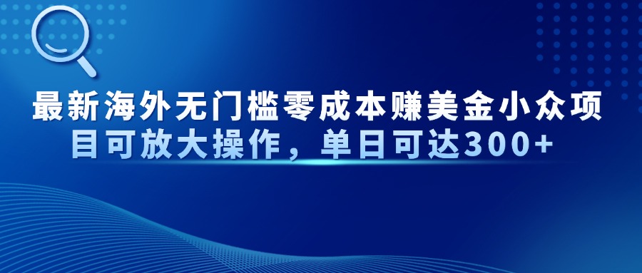 最新海外无门槛美金小众项目可放大操作，单日可达300+-小白搞钱