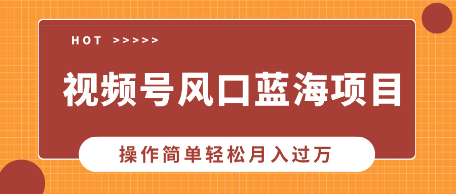 视频号风口蓝海项目，中老年人的流量密码，操作简单轻松月入过万-小白搞钱