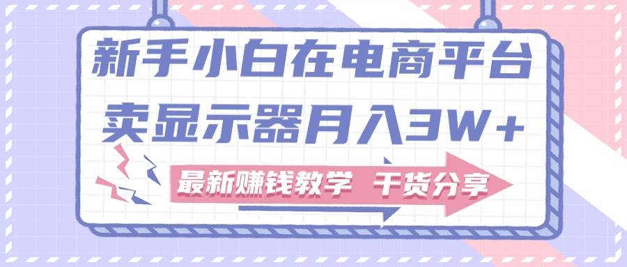 新手小白如何做到在电商平台卖显示器月入3W+，最新赚钱教学干货分享-小白搞钱