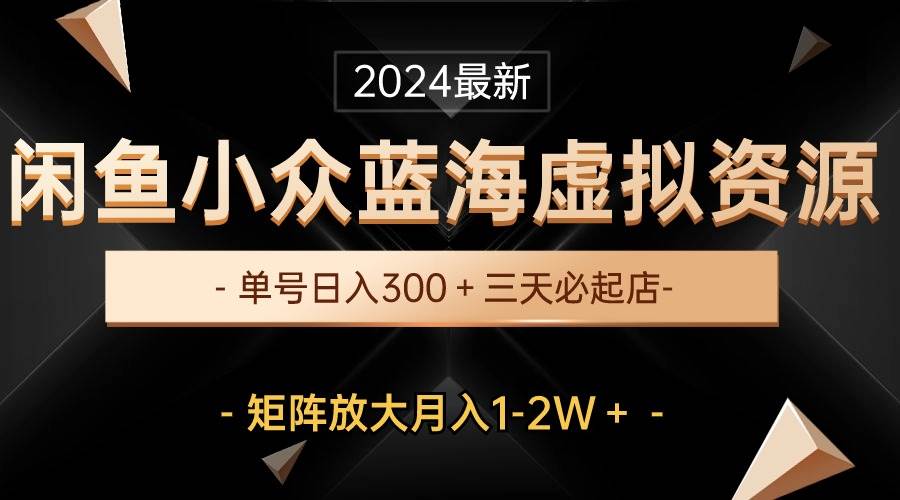 最新闲鱼小众蓝海虚拟资源，单号日入300＋，三天必起店，矩阵放大月入1-2W-小白搞钱