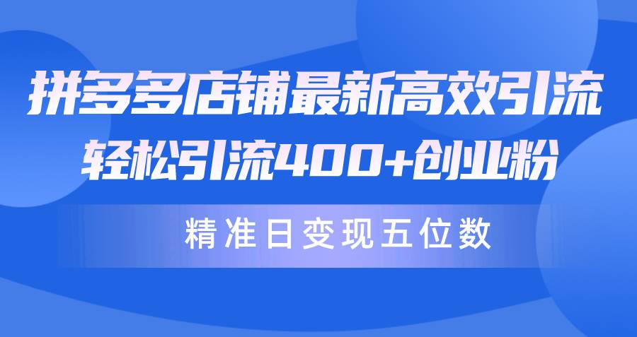拼多多店铺最新高效引流术，轻松引流400+创业粉，精准日变现五位数！-小白搞钱