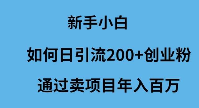 新手小白如何日引流200+创业粉通过卖项目年入百万-小白搞钱