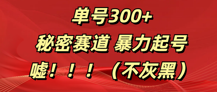 单号300+  秘密赛道 暴力起号  （不灰黑）-小白搞钱