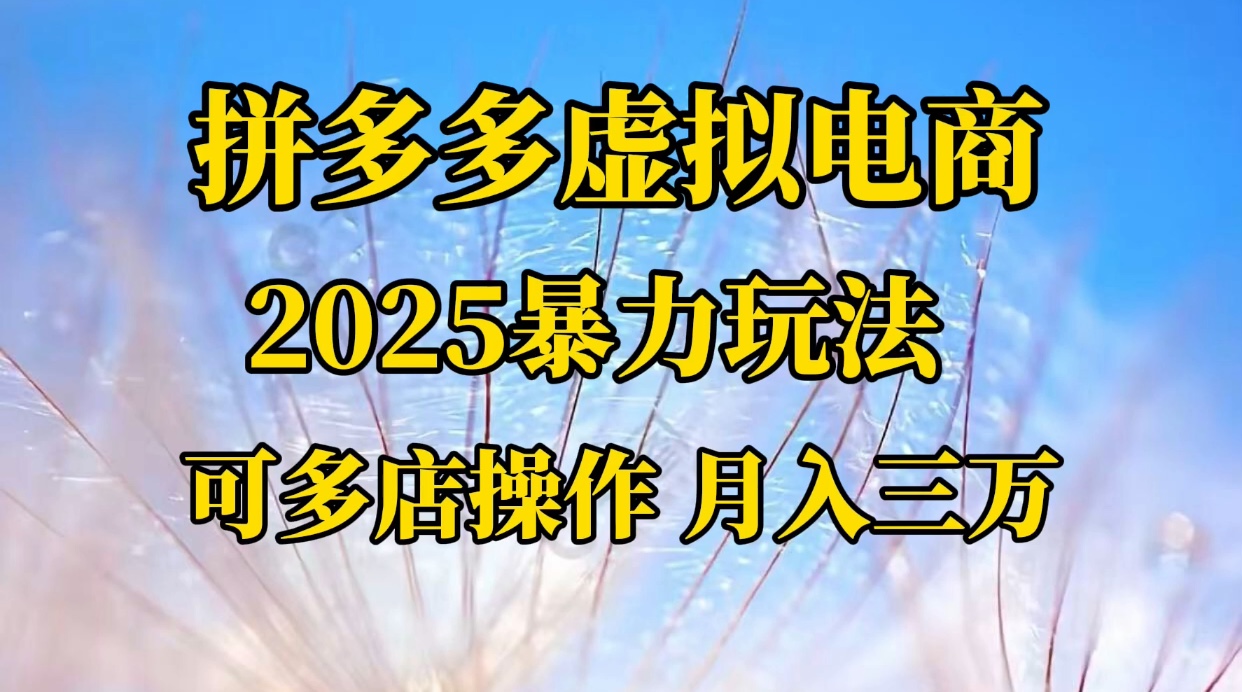 拼多多虚拟电商，不囤货不垫资的虚拟电商-小白搞钱