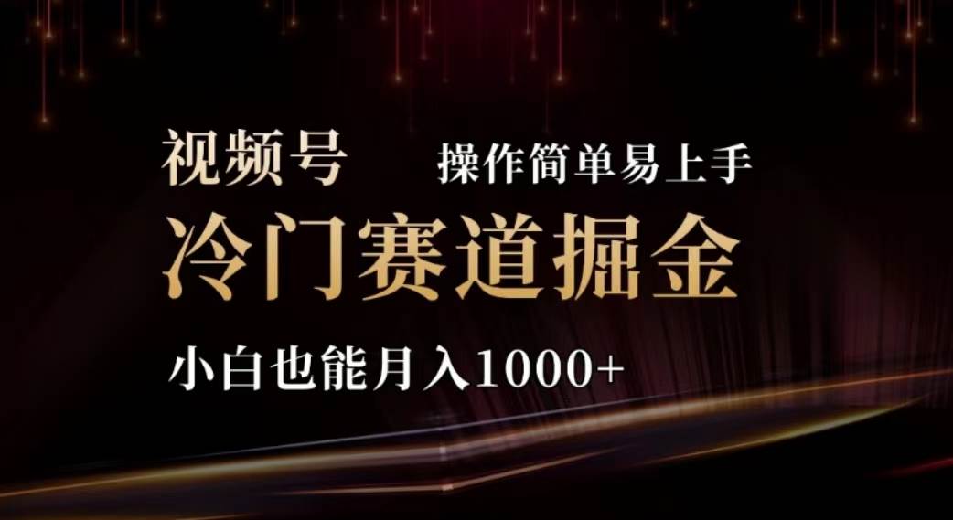 2024视频号冷门赛道掘金，操作简单轻松上手，小白也能月入1000+-小白搞钱