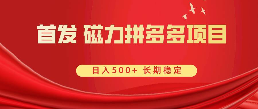首发 磁力拼多多自撸  日入500+-小白搞钱
