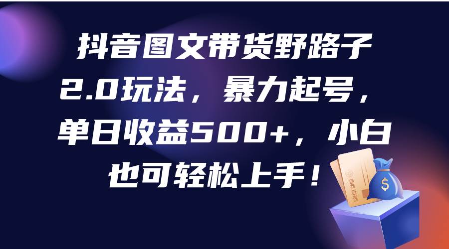 抖音图文带货野路子2.0玩法，暴力起号，单日收益500+，小白也可轻松上手！-小白搞钱
