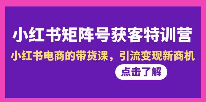 小红书-矩阵号获客特训营-第10期，小红书电商的带货课，引流变现新商机-小白搞钱