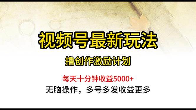 视频号最新玩法，每日一小时月入5000+-小白搞钱