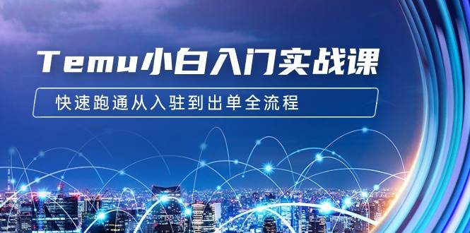 Temu小白入门实战课：跨境拼多多电商培训 快速跑通从入驻到出单全流程-12节-小白搞钱