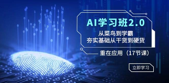 AI学习班2.0：从菜鸟到学霸，夯实基础从干货到硬货，重在应用（17节课）-小白搞钱