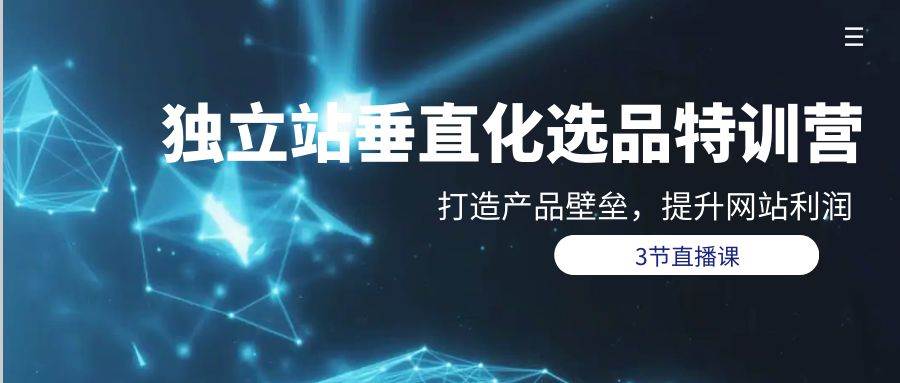 独立站-垂直化选品训练营，打造产品壁垒，提升网站利润（3节直播课）-小白搞钱