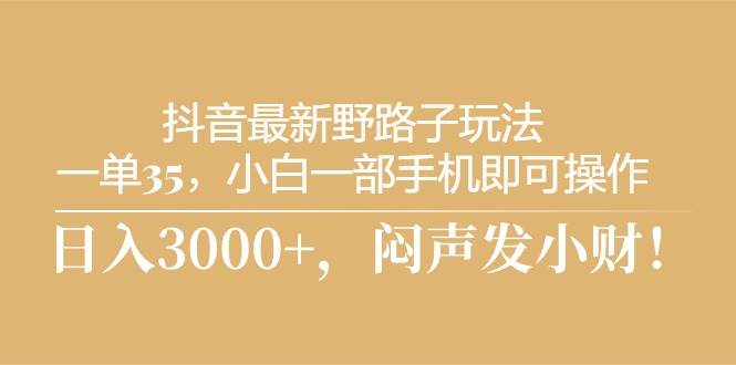 抖音最新野路子玩法，一单35，小白一部手机即可操作，，日入3000+，闷…-小白搞钱