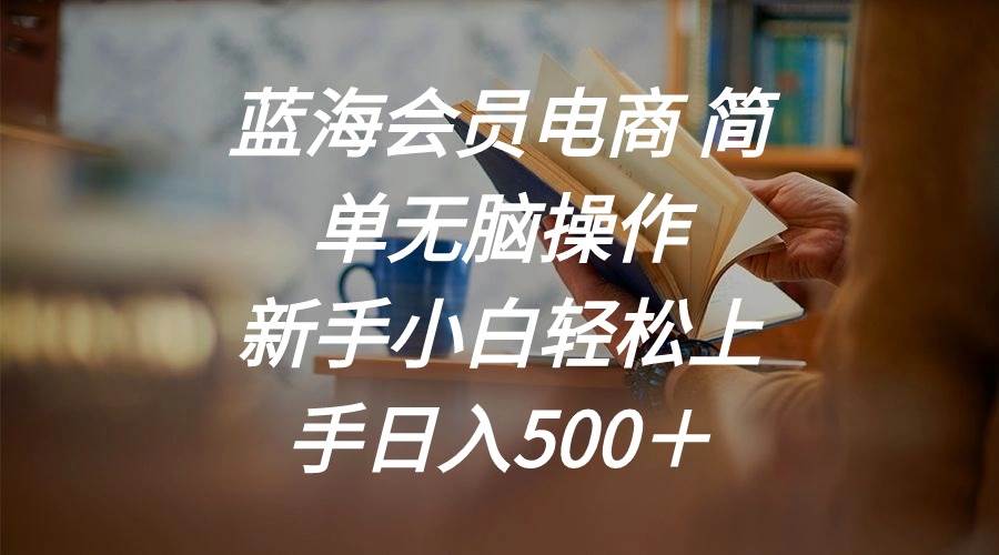 蓝海会员电商 简单无脑操作 新手小白轻松上手日入500＋-小白搞钱