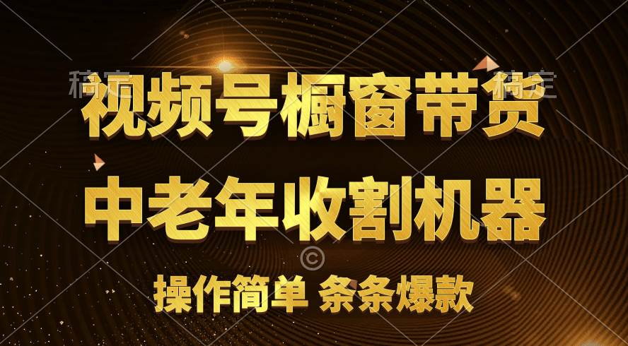 [你的孩子成功取得高位]视频号最火爆赛道，橱窗带货，流量分成计划，条…-小白搞钱